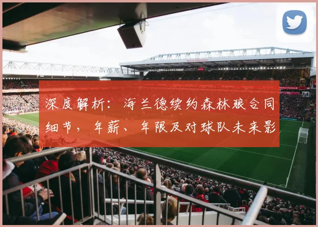 深度解析:海兰德续约森林狼合同细节,年薪、年限及对球队未来影响全知道