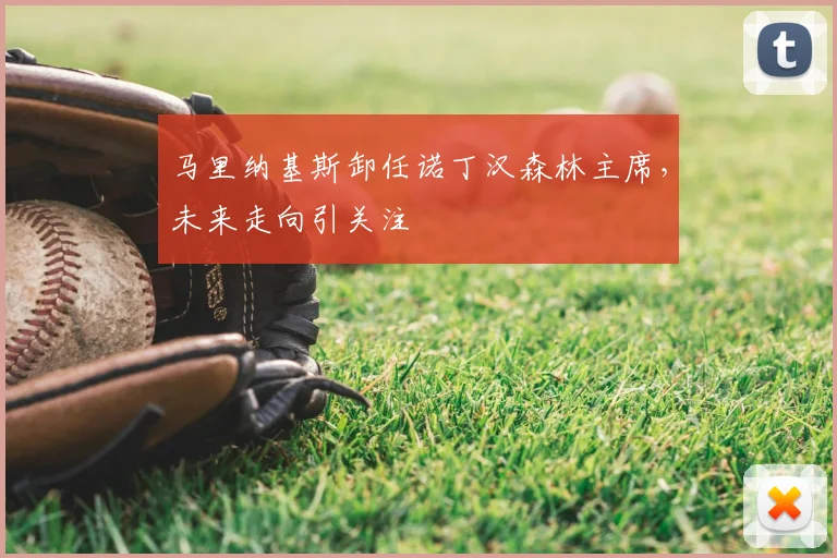 马里纳基斯卸任诺丁汉森林主席，未来走向引关注
